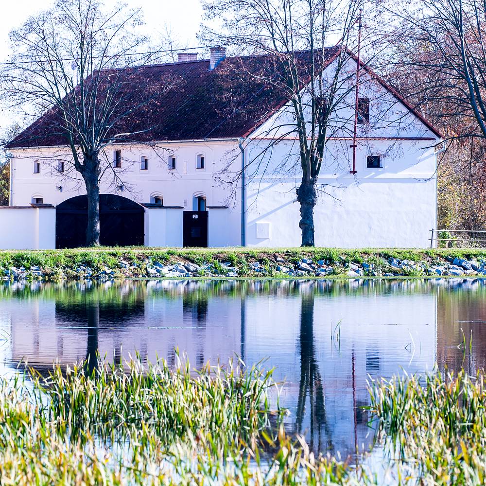 Statek - Pňovany