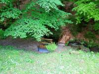 U Jelení studánky - Deštné v Orlických horách
