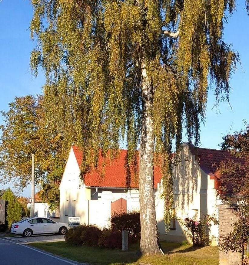 Dvůr u Třeboně - Dunajovice