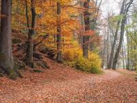 Chatka u Terčina údolí - Humenice