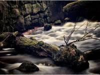 Chalupa Kuří 8 - Novohradské hory - Kuří