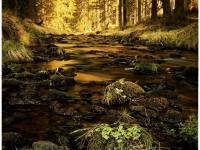 Chalupa Kuří 8 - Novohradské hory - Kuří