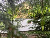 Chata U potůčku - Bedřichov