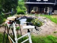 Chata Ludmila - Janov