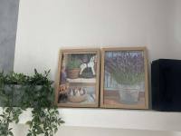 Ubytování pod Bouzovem - Kozov