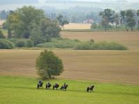 Chaloupka s rodinnou tradicí - Vižňov