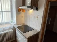 Chata Rousinka - Vojnův Městec