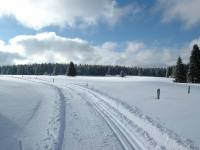 Roubenka na zelené - Přebuz
