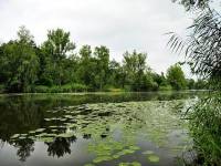 Chatička na Labi - Kostelec nad Labem