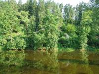 Chata Nad Stádleckým řetězákem - Lužnice - Dobřejice