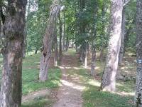 Chata Lipno - Horní Planá