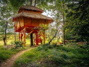 Treehouse Česká Kanada - Artolec