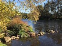 River lodge - Písek