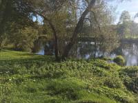 River lodge - Písek