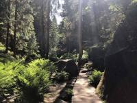 Chata Myšková - Teplice nad Metují