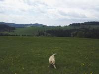 Chalupa na samotě - Valašská Senice