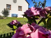 Staročeská Wellness chalupa Holešice - Holešice