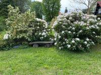 Chata u Bezručova srubu - Ostravice