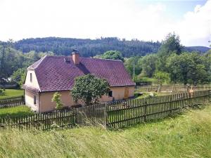 Hvozdík - Karlovice