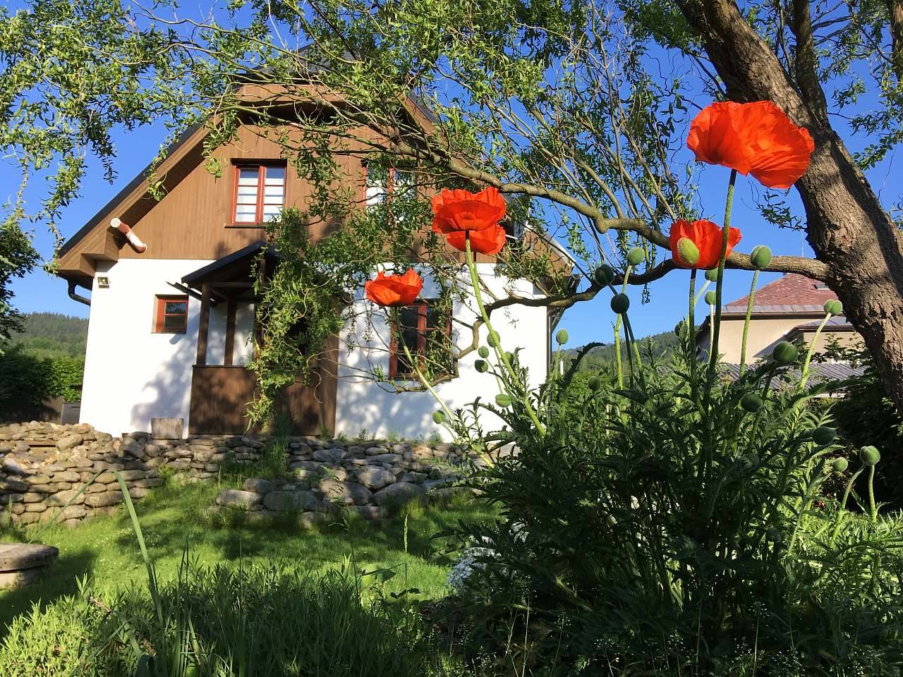 Dovolená Loučná - Rejhotice