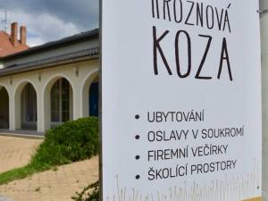 Hroznová koza - Vrbovec