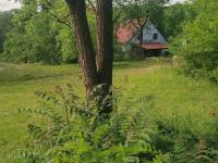 Chalupa Alenka - Brod nad Dyjí