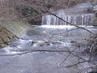 Chajdalupka - Javorník