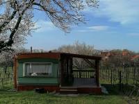 Mobilhome mezi vinohrady - Dolní Věstonice