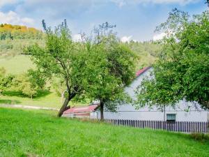 chalupa Kopanice - Vyškovec
