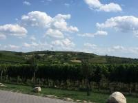 Chata Pepina Pálava - Šakvice