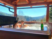 Wellness Chalupa Horní Orlice - Horní Orlice