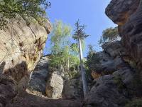 Dům Berenika - Velké Petrovice
