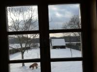 Srub k pronájmu - Vícemil