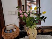 Chaloupka nad Českým rájem - Skuhrov