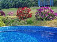 Chaloupka nad Českým rájem - Skuhrov