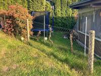 Glamping Karavan  - Chrášťany